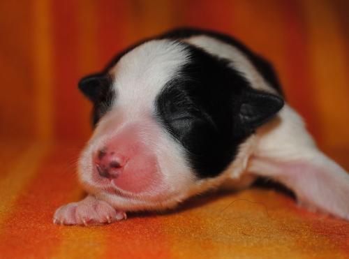 19163117 922c85f613447c50bb67909bb99e61e6 xl