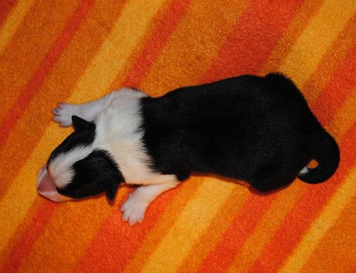 19163159 4b6715ca0e4257bff8d7b90238da1b40 xl