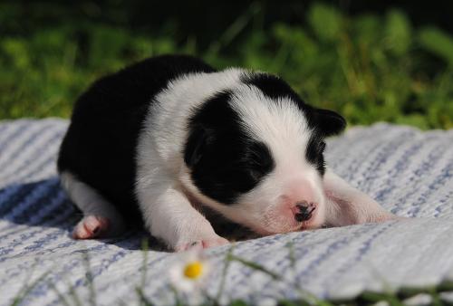 19198743 3c75a01d3430662af6d09fac234148fb xl