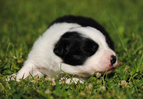 19251243 a5f7b02e699f538daff895fe90da9e0d xl