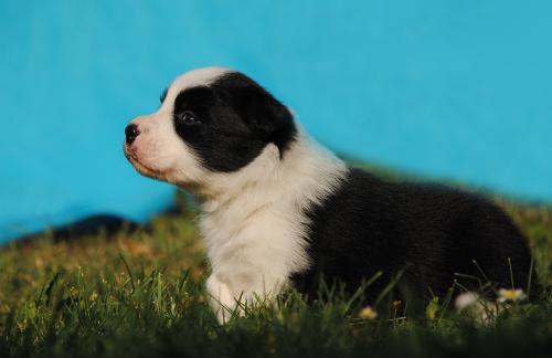 19324783 34d49caeff54e988cc26ae0263575209 xl