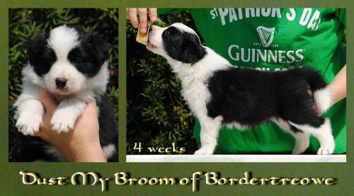 19362299 420d374065b4c91e822753809484fdf7 xl