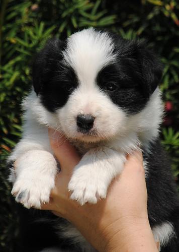 19362301 079b1b597701916341179959bc1e4d83 xl