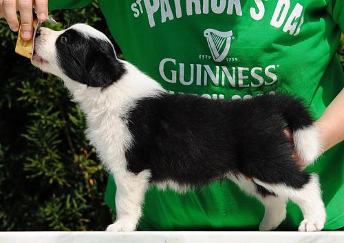 19362305 0b6243de95f842c1d793fb5247657c5a xl