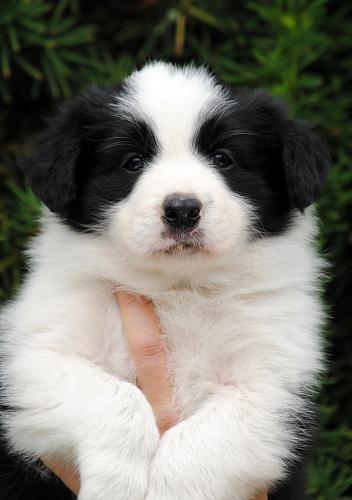 19423481 d1843767fd62ba7ec6382644489c72bf xl