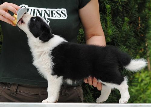 19423485 247e89783b8f9ca10ceaa6099a21fb91 xl