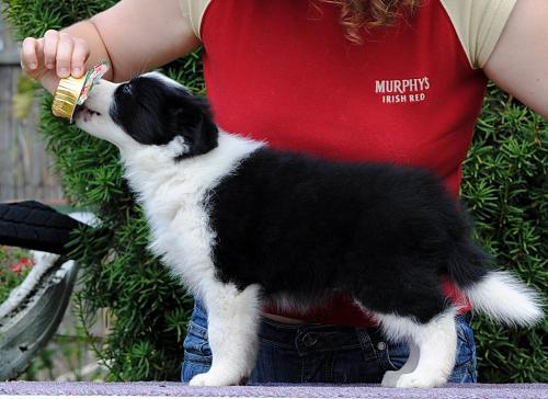 19544005 14a6e976b054ac556001c0987a7719a5 xl