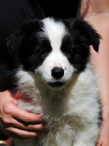 19544007 7a29698168c1e319026b995c9ade53d5 xl