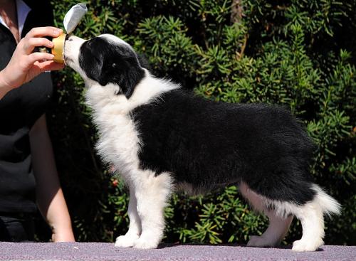 19544009 34b43d9cb9184df1ad7cef1aa2568787 xl