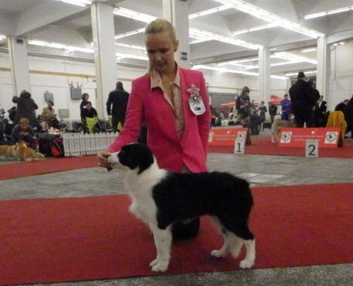 20172619 2e3522dea83039d9c65d98a12b3e0d55 xl