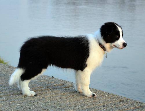 20172839 66706a739ee65aad305ce4663bc365f0 xl