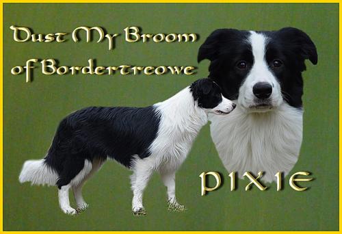 20379457 9772025b457cbe7ef3dae43bc78d1b42 xl