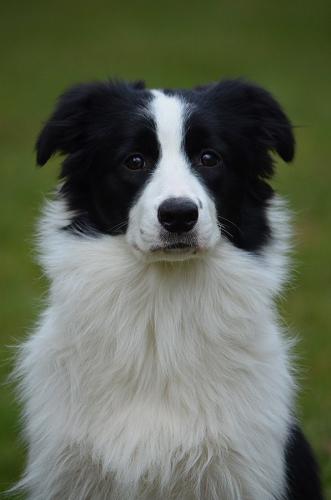 20379465 0e7504724bc6f3579554619205114a3a xl