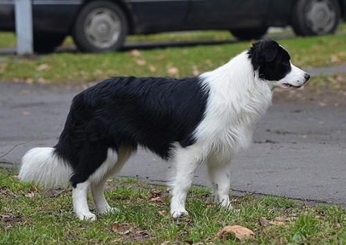 20379467 65be166f0488da8a4e47b3b440639aaa m