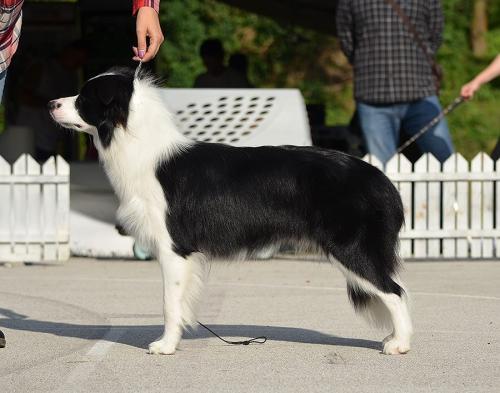 21750225 85606040f8bd28b0076517ab9314fdf2 xl