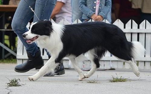 21750279 9dc5a943c07d814c910f6f3ce2802937 m