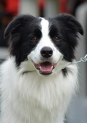 21750281 6ccceed30a404687065e030faf0a9c7f m