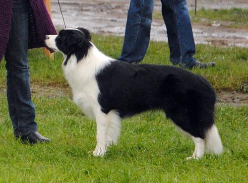 21854201 0a1b45d2b626e8a9535cf38863540f80 xl