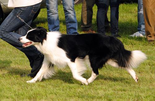 21854203 dfa5268fb96ddfe94b1b86fe4ea4dcc7 xl