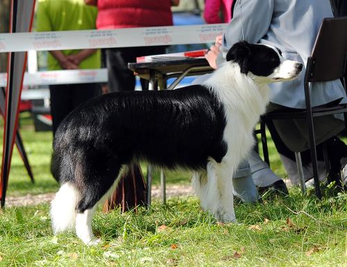 21895095 7e00a954e5fe01bee654aa9400f48350 xl