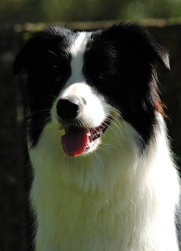 21895647 b387ef4f0fb4d96d22420563a797066a xl