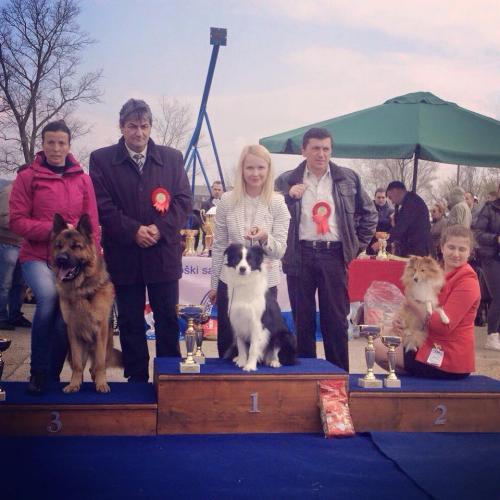 22532381 0b145678d1c32fb1c03bf552ac6cf2a7 xl