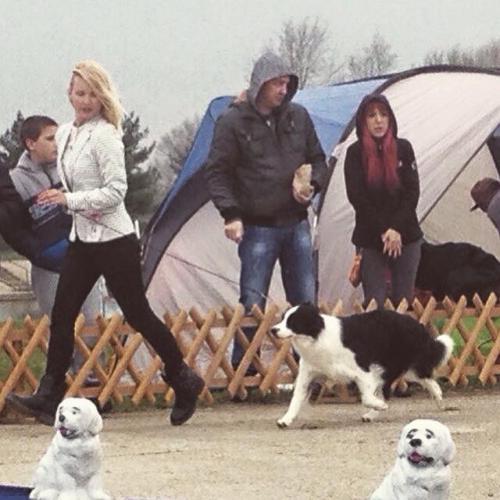 22532383 e0543ed22eb29b6209872e49faaca4cc l