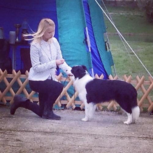 22532385 36cf83f1c890c854399f8e28c2d1cb5a l