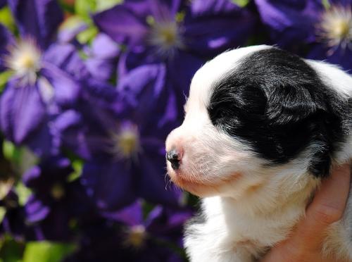 21240627 dd46ff04f0bf738311edfdcc4b56608e xl