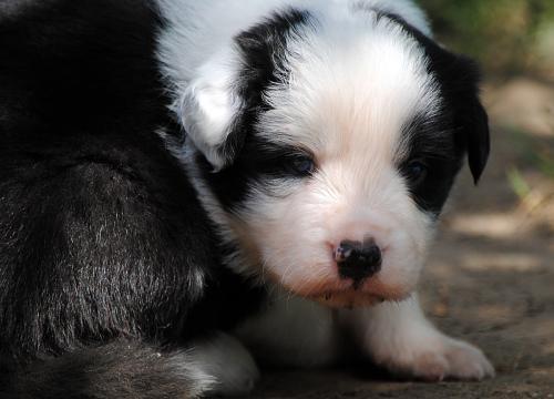 21278665 120c976e22e18ab01adac0c6e0bdbc0e xl