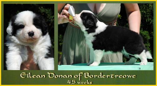 21318287 a32ae4510555289864a2c178b008f4be xl