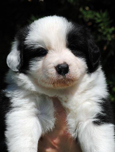 21318299 f18e396452b8a559d6259049ce458af7 xl