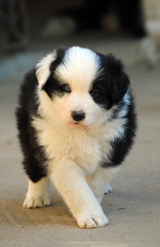 21353579 53a86248e42b8321d1905692e18bb5c7 xl