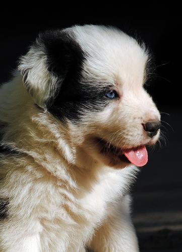 21353591 c8978f6cdc7c19f7eee5ae678021dc40 xl