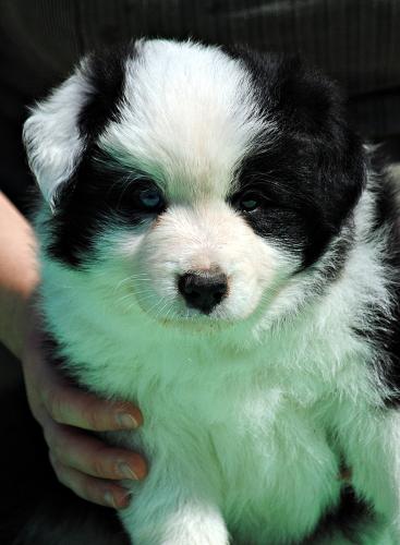 21357419 c0060c45360c0df651ad8302fea5cefb xl