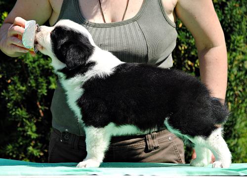 21357423 99187fa4cdb52e03d6a0f36ccad898f6 xl