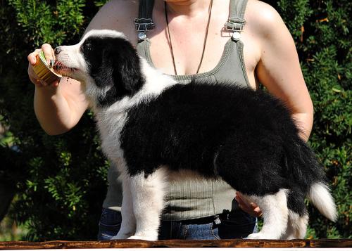 21459705 7dcf3103a7ac0e873ad66b37958a9a18 xl