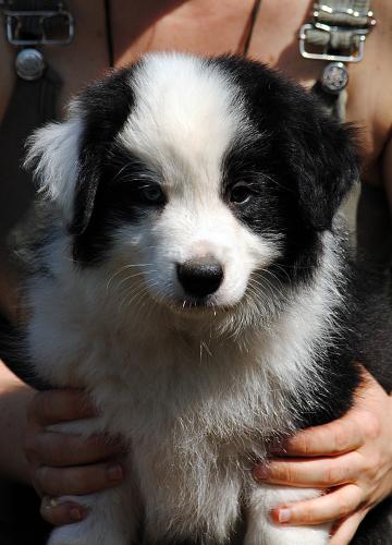 21459707 ac10c5da017a8e039a5cd7c312996fd3 xl