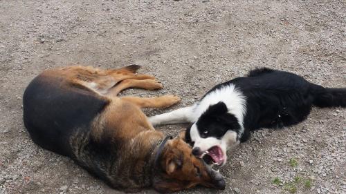 22197553 822e904d455597c5ef505d10fcf53b0f xl