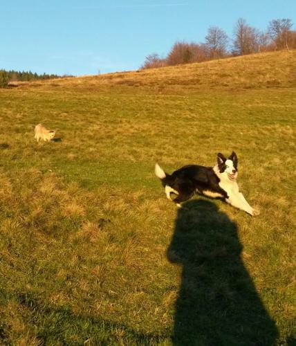 22197557 bc65601db01e12d2aa79ba8545a1da5f xl