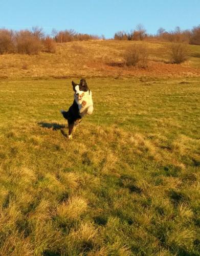 22197561 1e683b636ef8cc66a998528a772ca3af xl