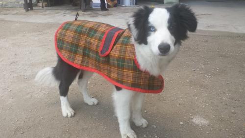 22197563 ecb130ffa0a1e321474bdb979a4a424f xl