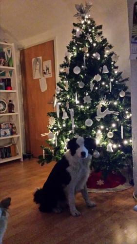 22197565 09bdadd0b35cb588237a797da87c5ef1 xl