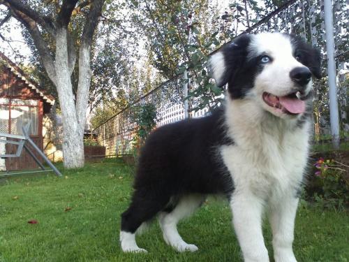 22197569 b33ecd712492d872f576365cf72d2b15 xl