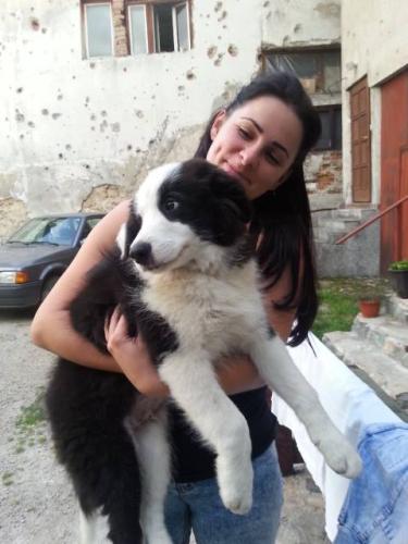 22197571 a26f436fe19c13470e7d7c43cb60a407 l