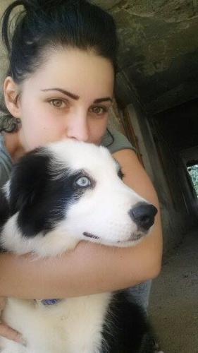 22197573 066f3eb28bd9a73cff91594591cf3bf6 l