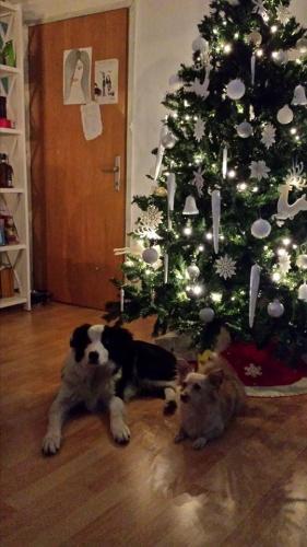 22197575 6e30bb1fbb5c1e2d2cd06f17b562052b xl