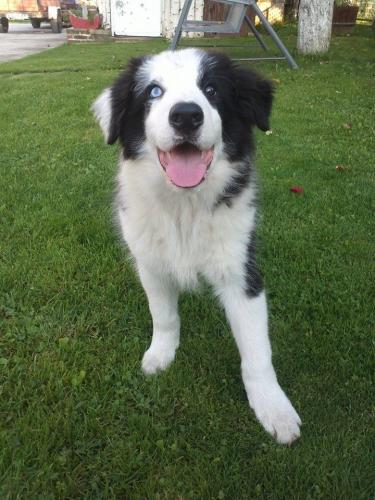 22197577 78e97bdf9c331a761b88a4022179f160 xl