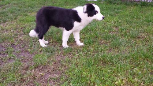 22197579 dd5365fe2b52c615de2104e14bd7fa91 xl