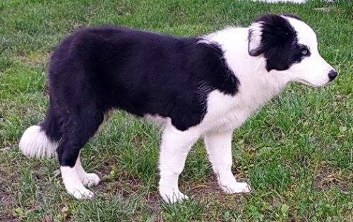 22197581 30d9e3d95ea437dc01bfe058e51230c5 m